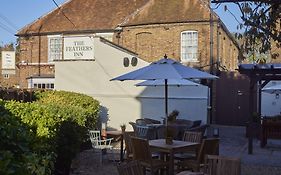 Feathers By Chef & Brewer Collection